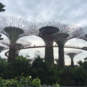 Meet your Posher, Rhea